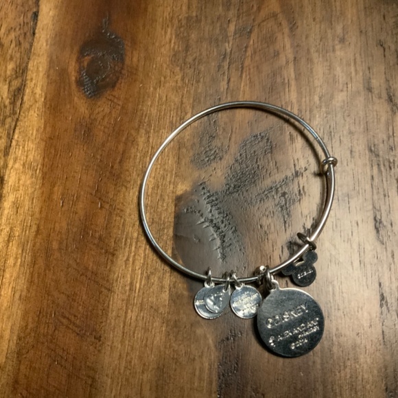 Alex and Ani Disney Lion King bracelet - Picture 2 of 2